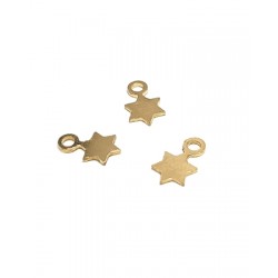 Gold Filled Star Pendant (with ring)