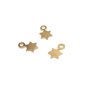 Gold Filled Star Pendant (with ring)