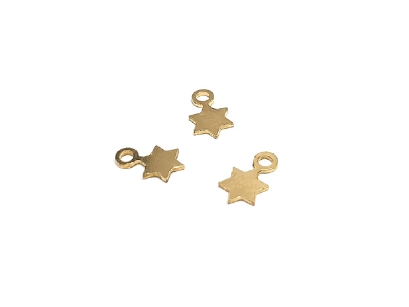 Gold Filled Star Pendant (with ring)