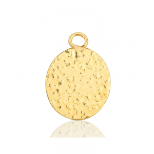 Gold Filled Oval Textured Disc (with ring)