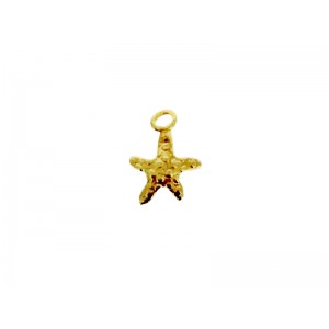 Gold Plated Brass Star Charm