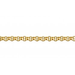 Gold Filled Rolo Belcher Chain - 2mm