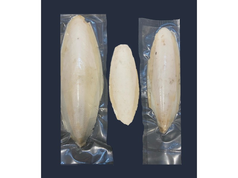 Cuttlefish Bone for casting
