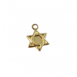 Gold Filled Small Flat Star of David Charm