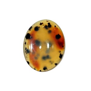 46ct MONTANA AGATE 3.9cm x 3cm