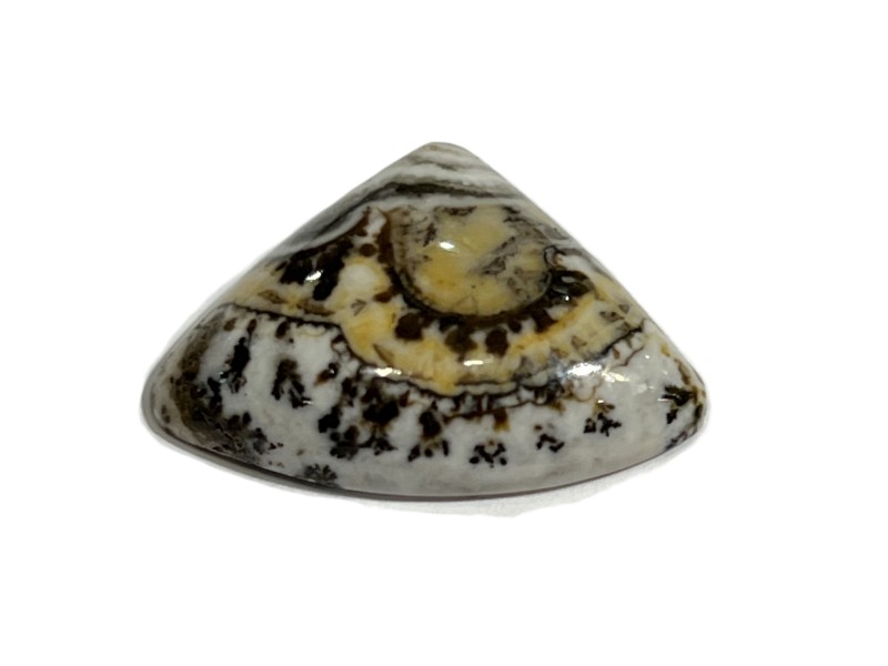 16ct SILVER LACE ONYX 2.5CM cabochon