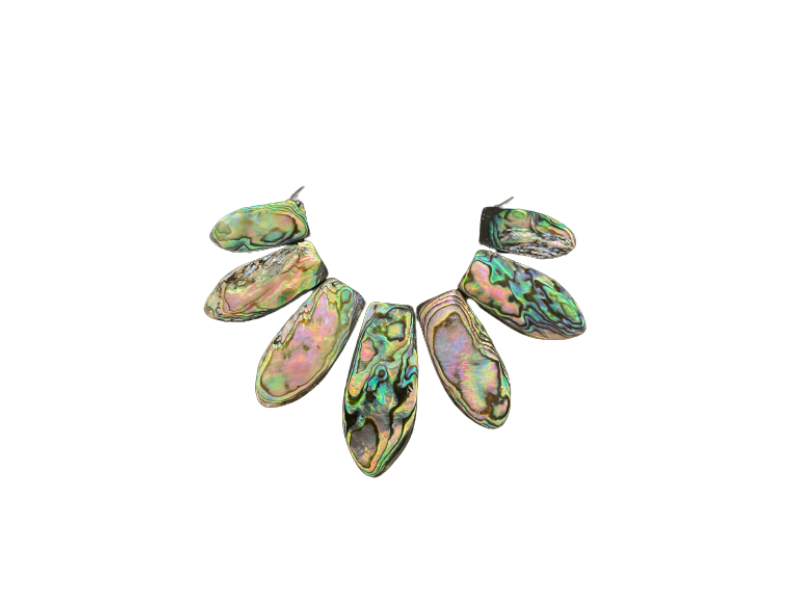 MOP Abalone Paua shell Set 7 Pcs